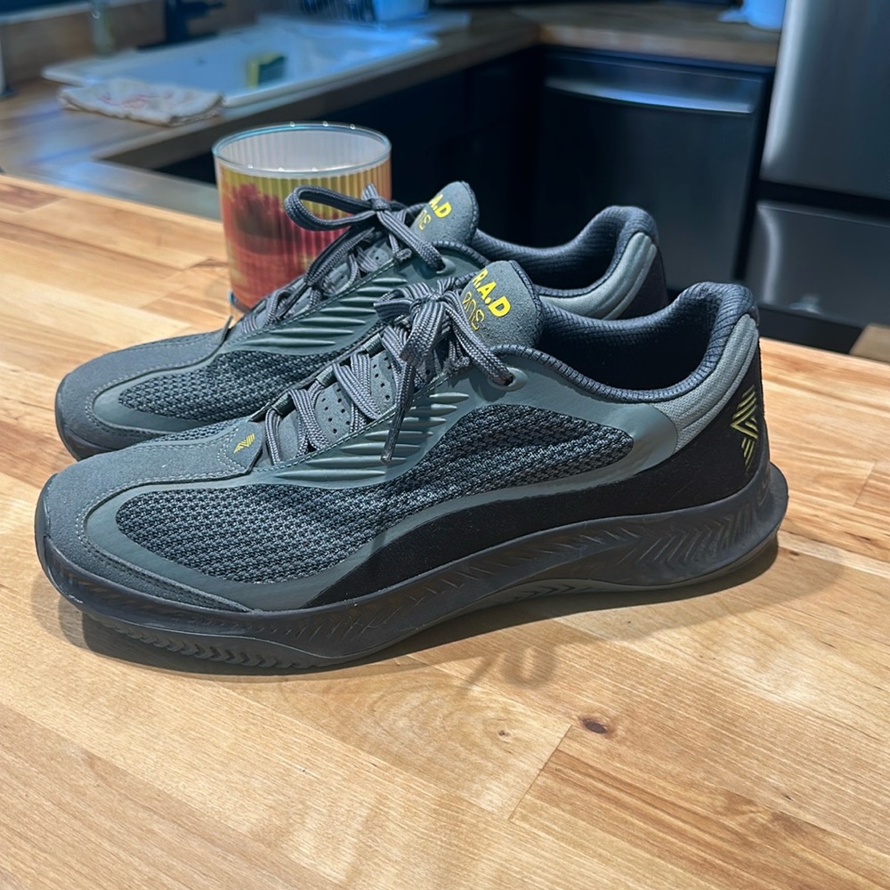 R.A.D One Trainer